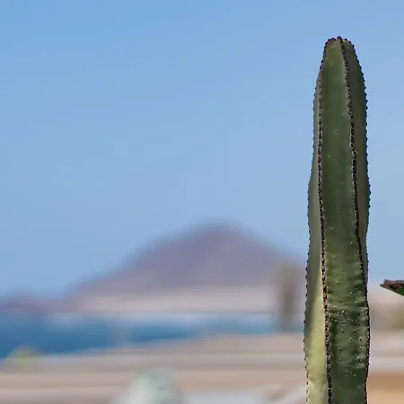 بيت للعطل Medano - Playa